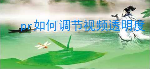 pr如何调节视频透明度