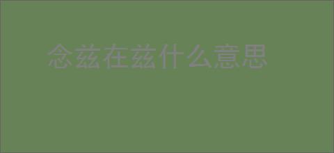 念兹在兹什么意思