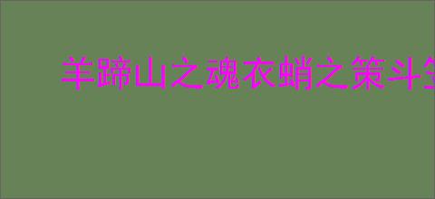 羊蹄山之魂衣蛸之策斗笠如何获取
