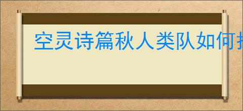 空灵诗篇秋人类队如何搭配