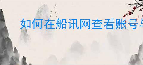 如何在船讯网查看账号与安全