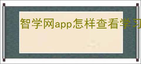 智学网app怎样查看学习资源分类