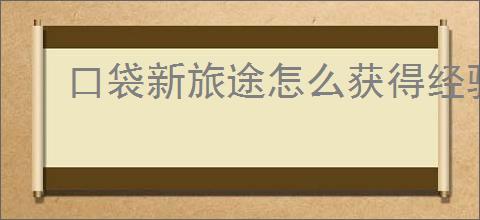 口袋新旅途怎么获得经验