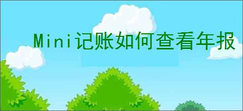 Mini记账如何查看年报