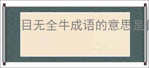 目无全牛成语的意思是什么