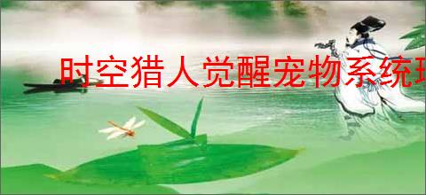 时空猎人觉醒宠物系统玩法是什么