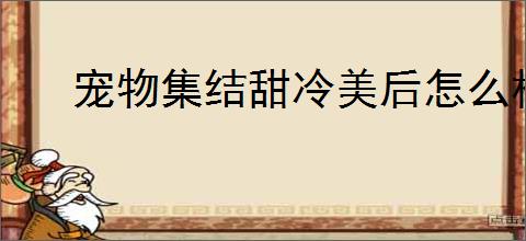 宠物集结甜冷美后怎么样
