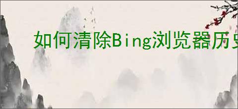 如何清除Bing浏览器历史数据