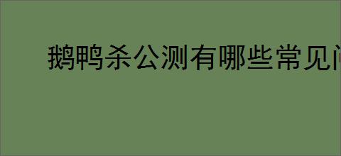 鹅鸭杀公测有哪些常见问题
