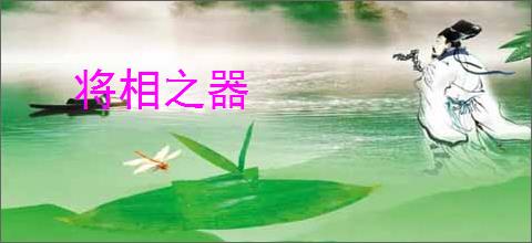 将相之器
