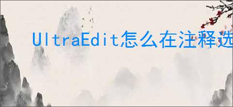 UltraEdit怎么在注释选中内容